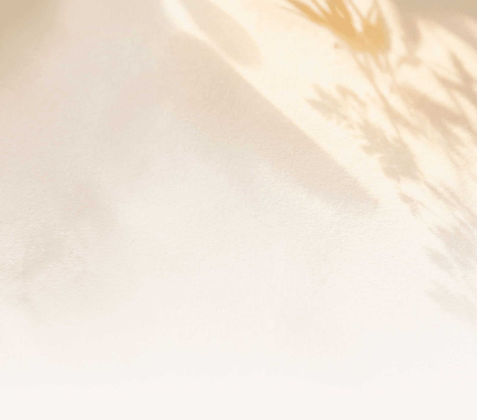 Your LOYA card resting in soft light